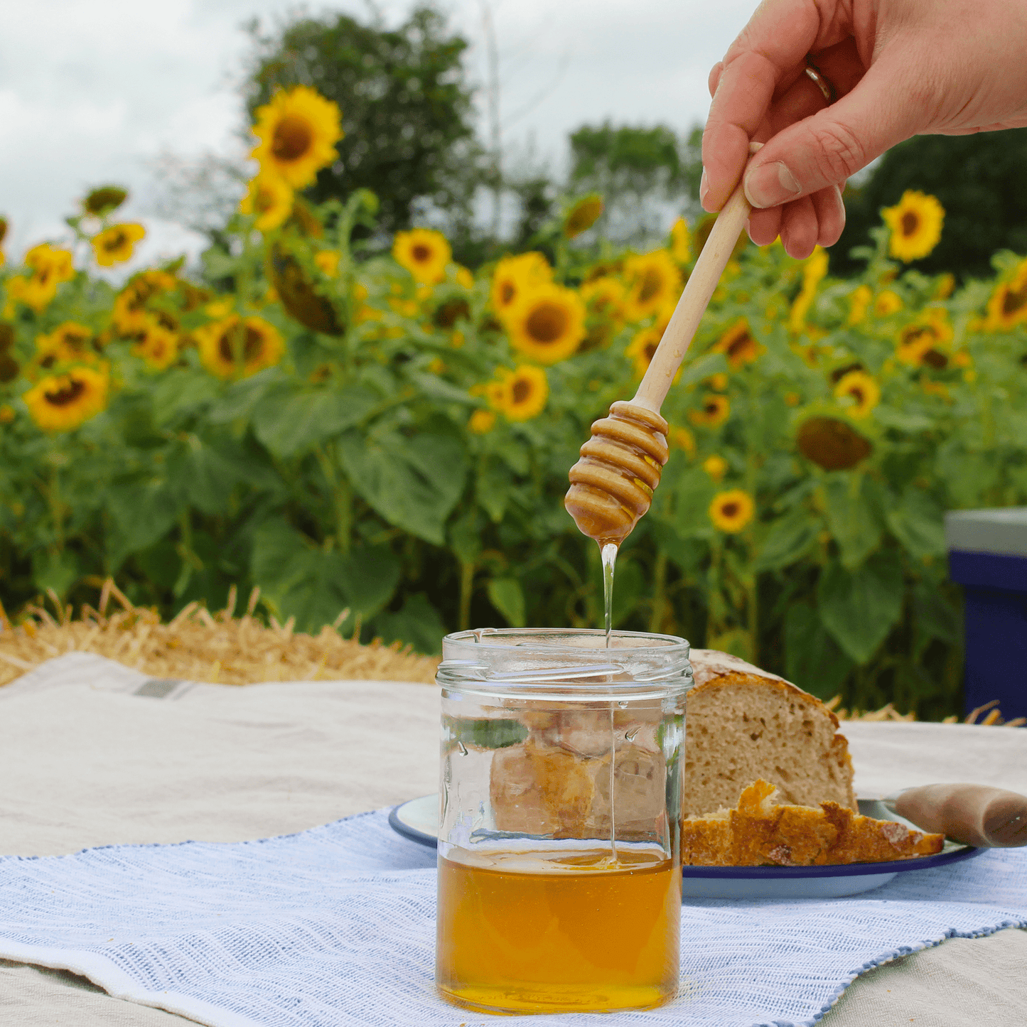 Beech Honey Dipper - THE BRISTOL ARTISAN