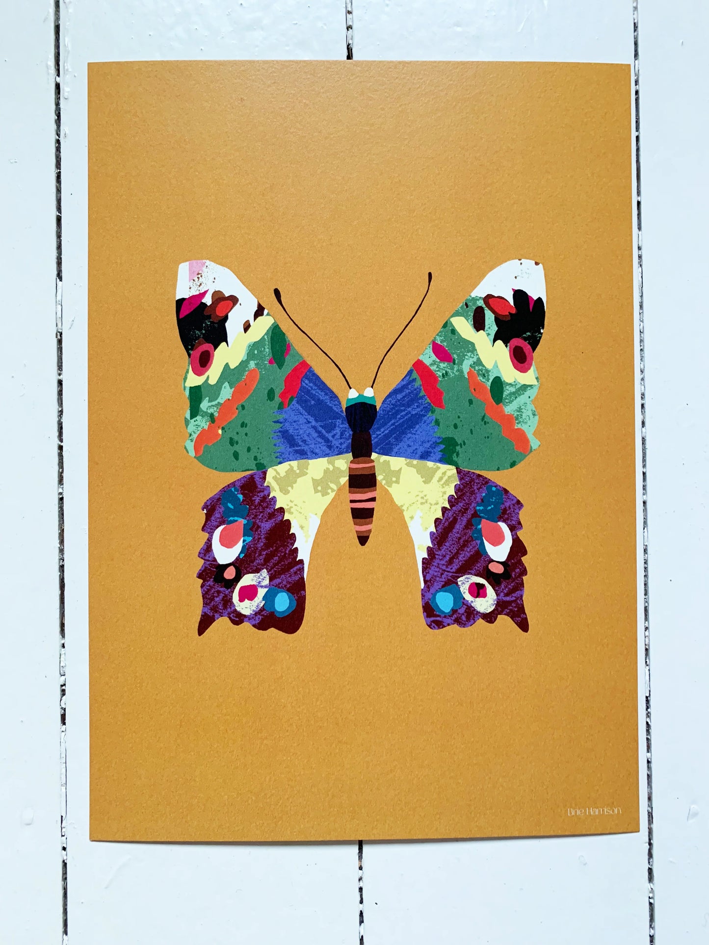 Brie Harrison Butterfly A4 Print - THE BRISTOL ARTISAN