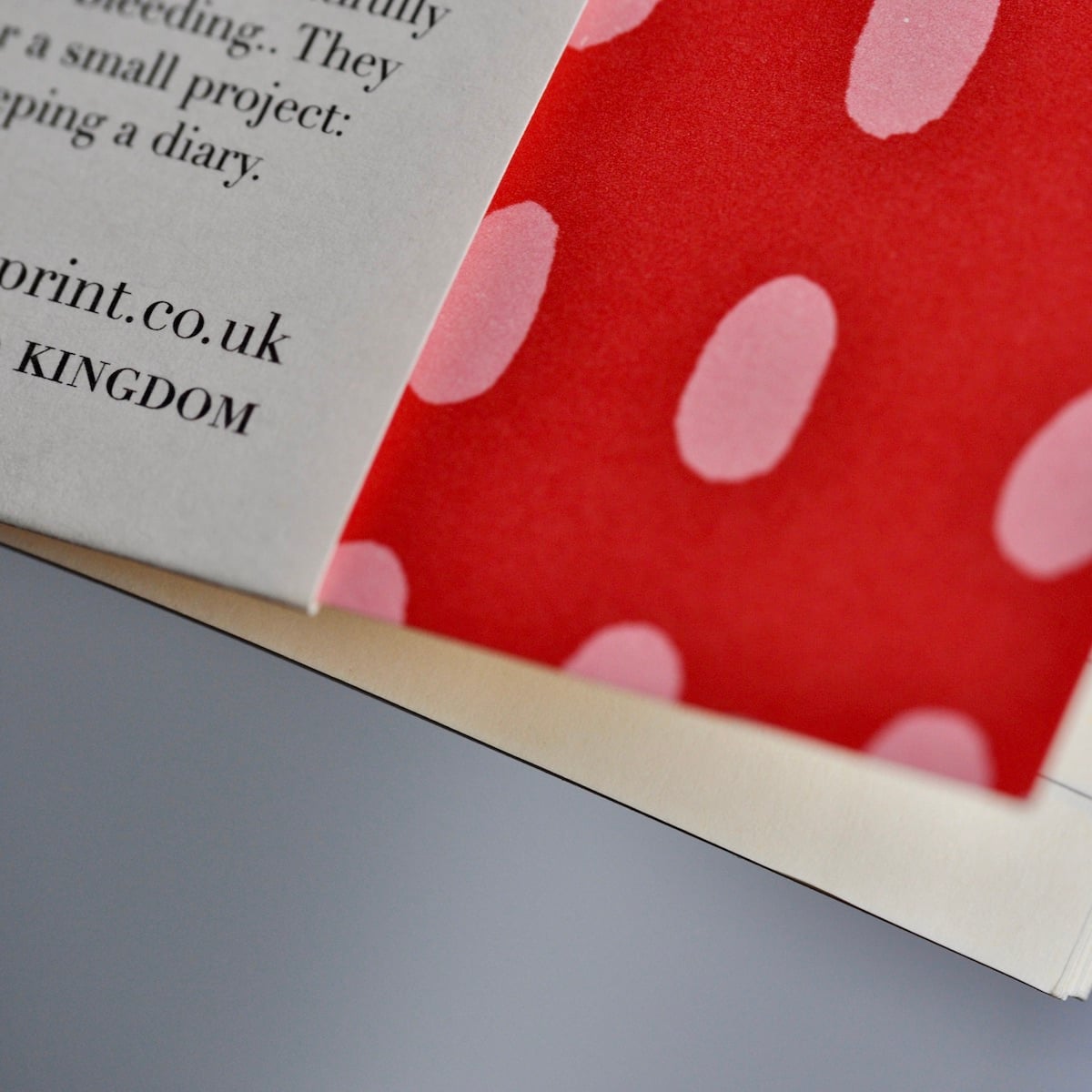 Exercise Book (Lined) - Bean Summer Pudding - THE BRISTOL ARTISAN