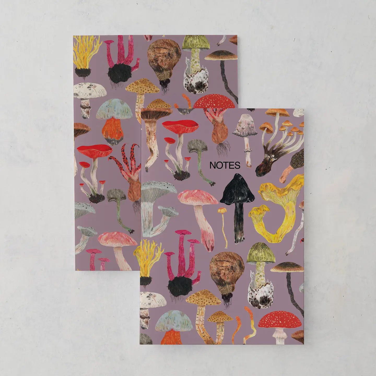 Mushrooms & Toadstools A5 Notebook - THE BRISTOL ARTISAN