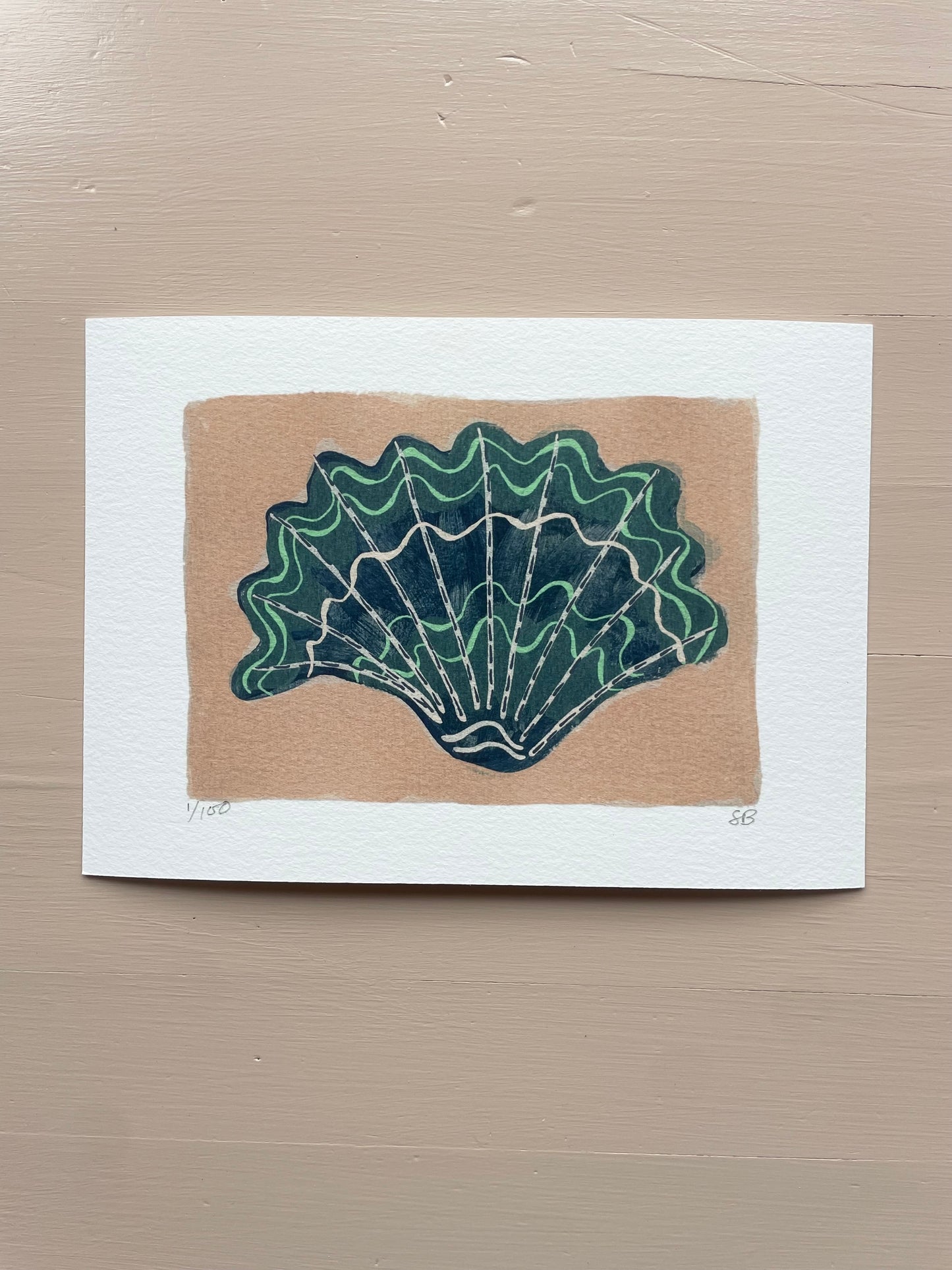 Shell No.60 limited edition print by Sian Beck - THE BRISTOL ARTISAN