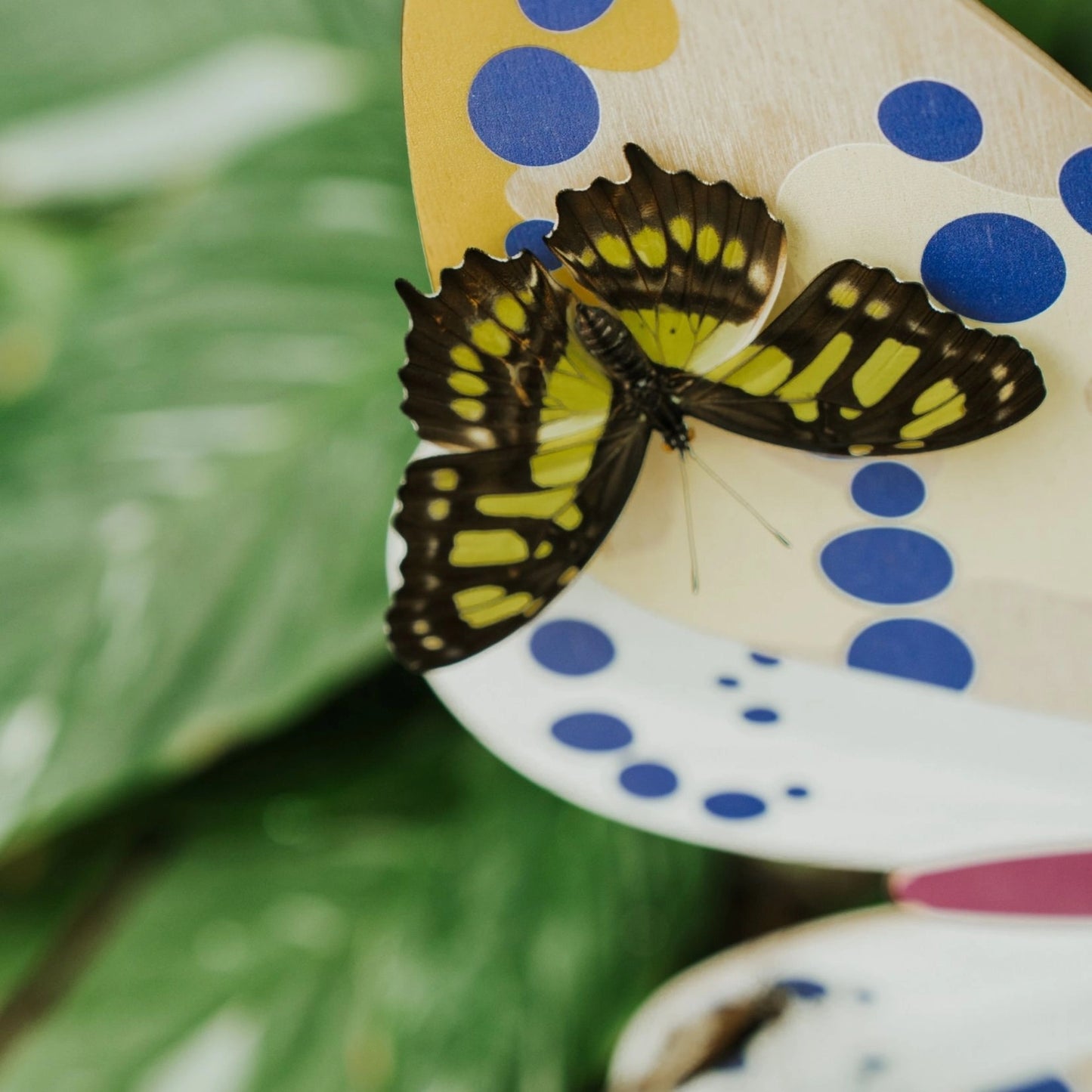 Magpie Butterfly Wooden Wall Decoration
