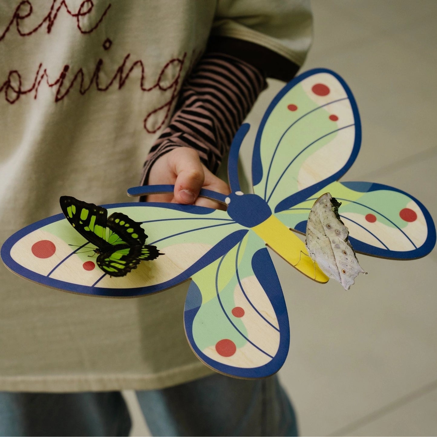 Birdwings Butterfly Wooden Wall Decoration