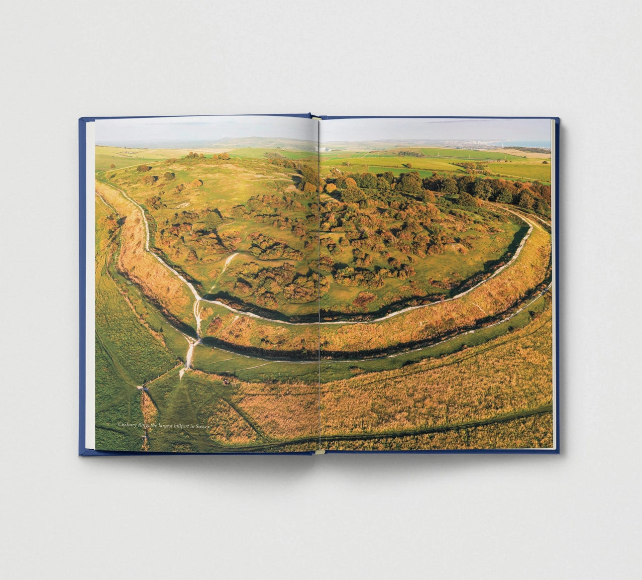 Ancient Britain For Modern Folk - THE BRISTOL ARTISAN