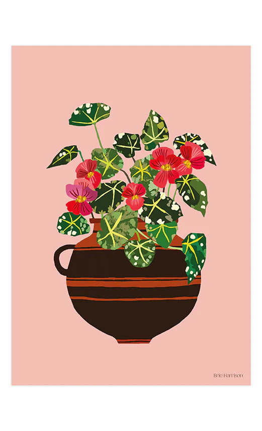 Begonia Print A4 Print by Brie Harrison - THE BRISTOL ARTISAN
