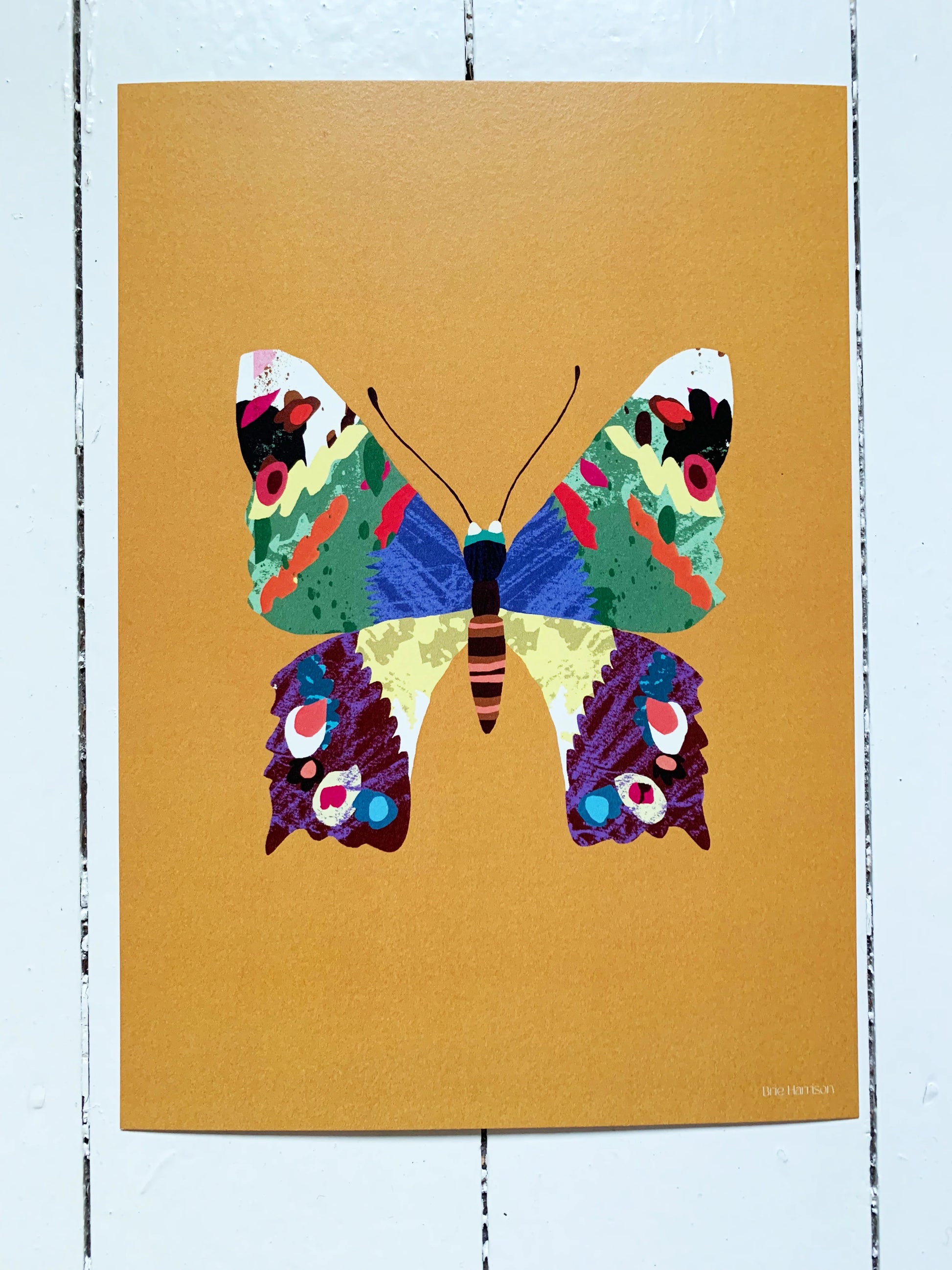 Brie Harrison Butterfly A4 Print - THE BRISTOL ARTISAN