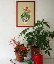Pelargonium Print A4 Print by Brie Harrison - THE BRISTOL ARTISAN