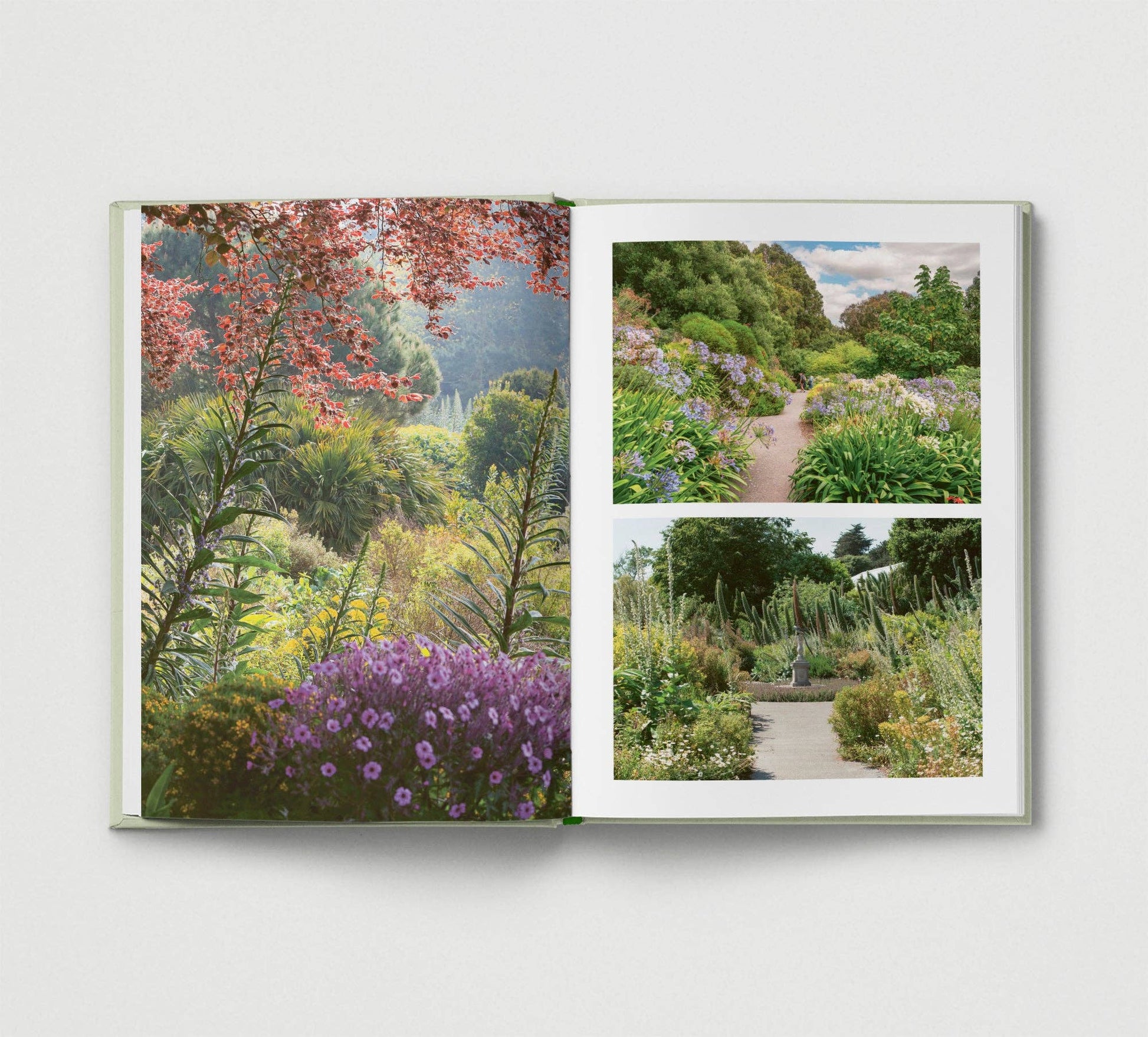 Britain's Best Gardens by Hoxton Press - THE BRISTOL ARTISAN