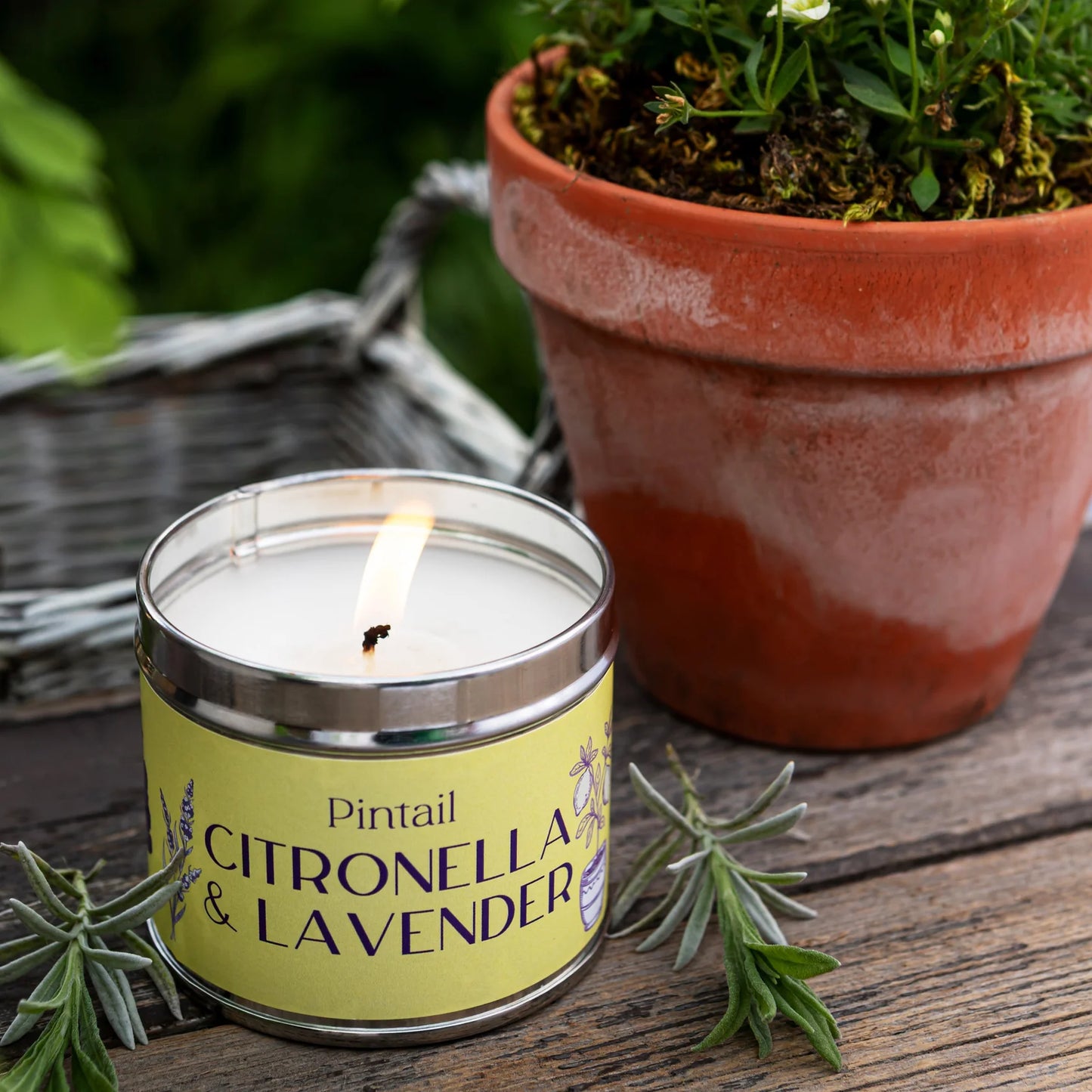 Citronella & Lavender Candle - THE BRISTOL ARTISAN