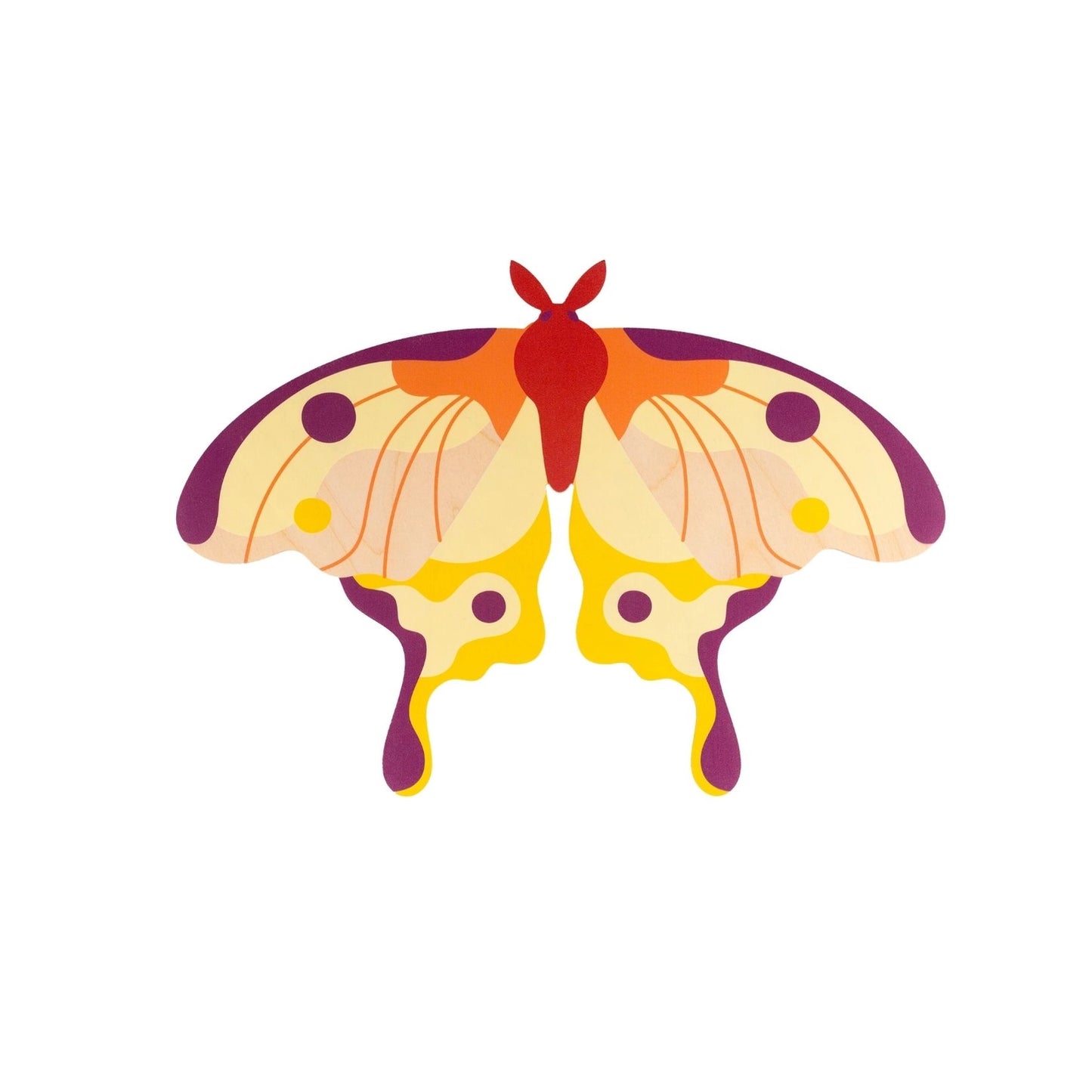 Comet Moth Butterfly Wooden Wall Decoration - THE BRISTOL ARTISAN