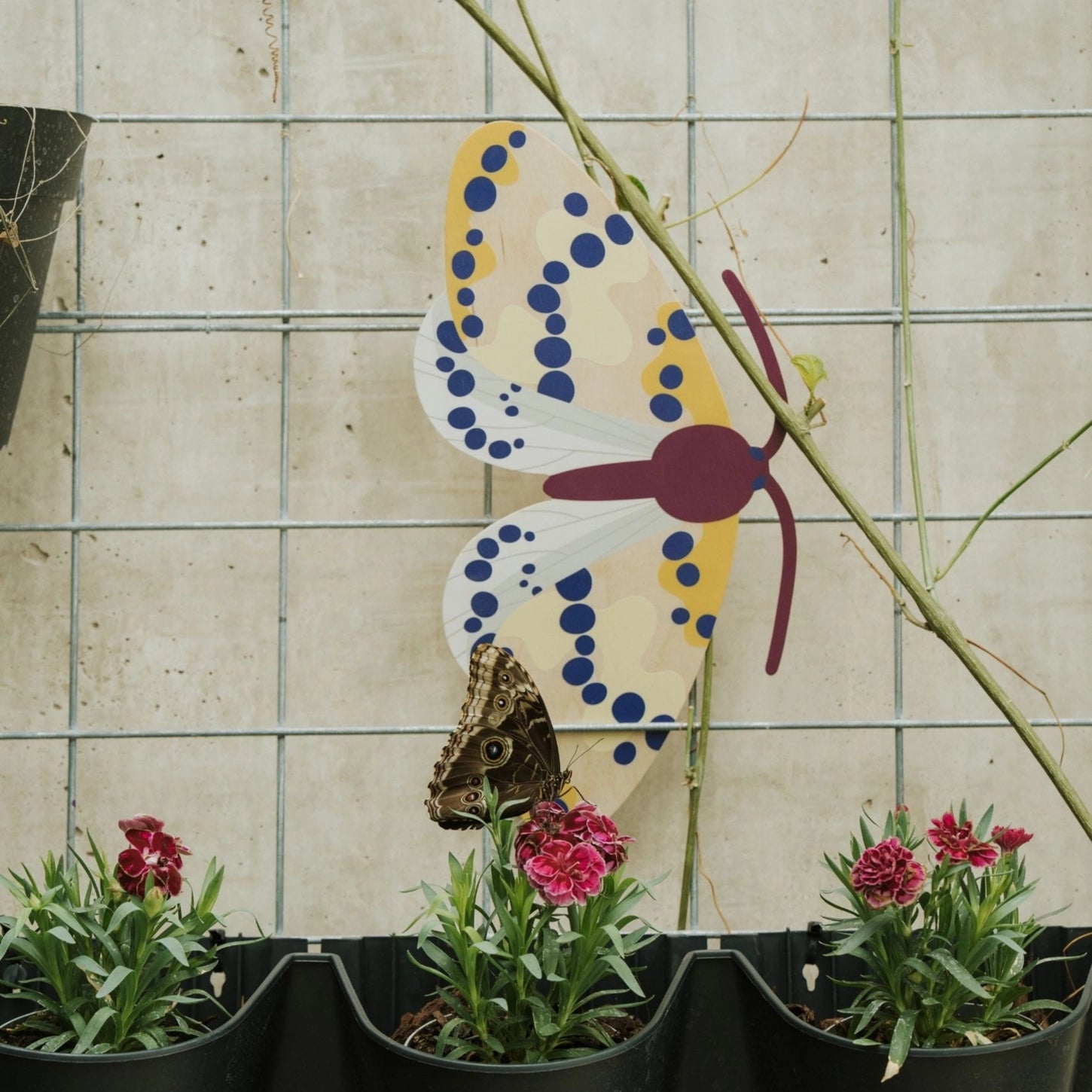 THE BRISTOL ARTISAN