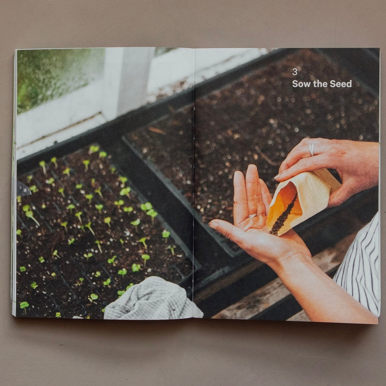 Do Grow, Guide to Growing Vegetables - THE BRISTOL ARTISAN