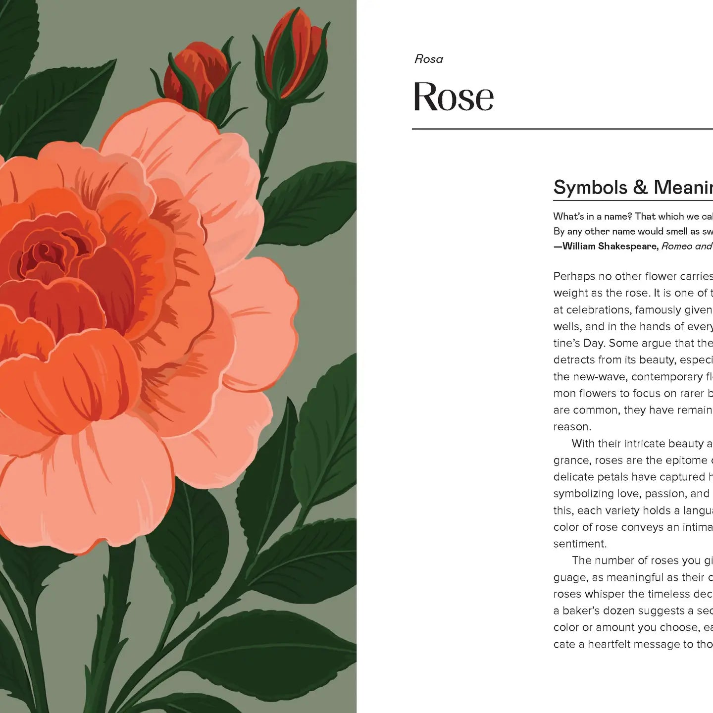 Floraphile’s Amanac - An Illustrated Miscellany - THE BRISTOL ARTISAN