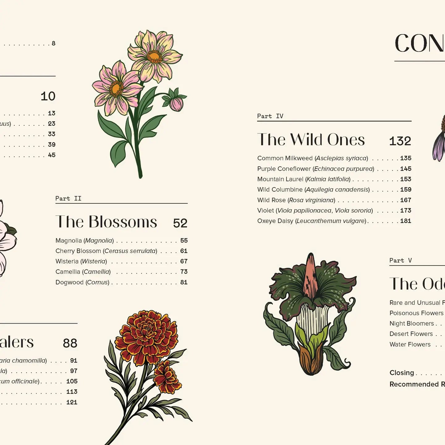 Floraphile’s Amanac - An Illustrated Miscellany - THE BRISTOL ARTISAN