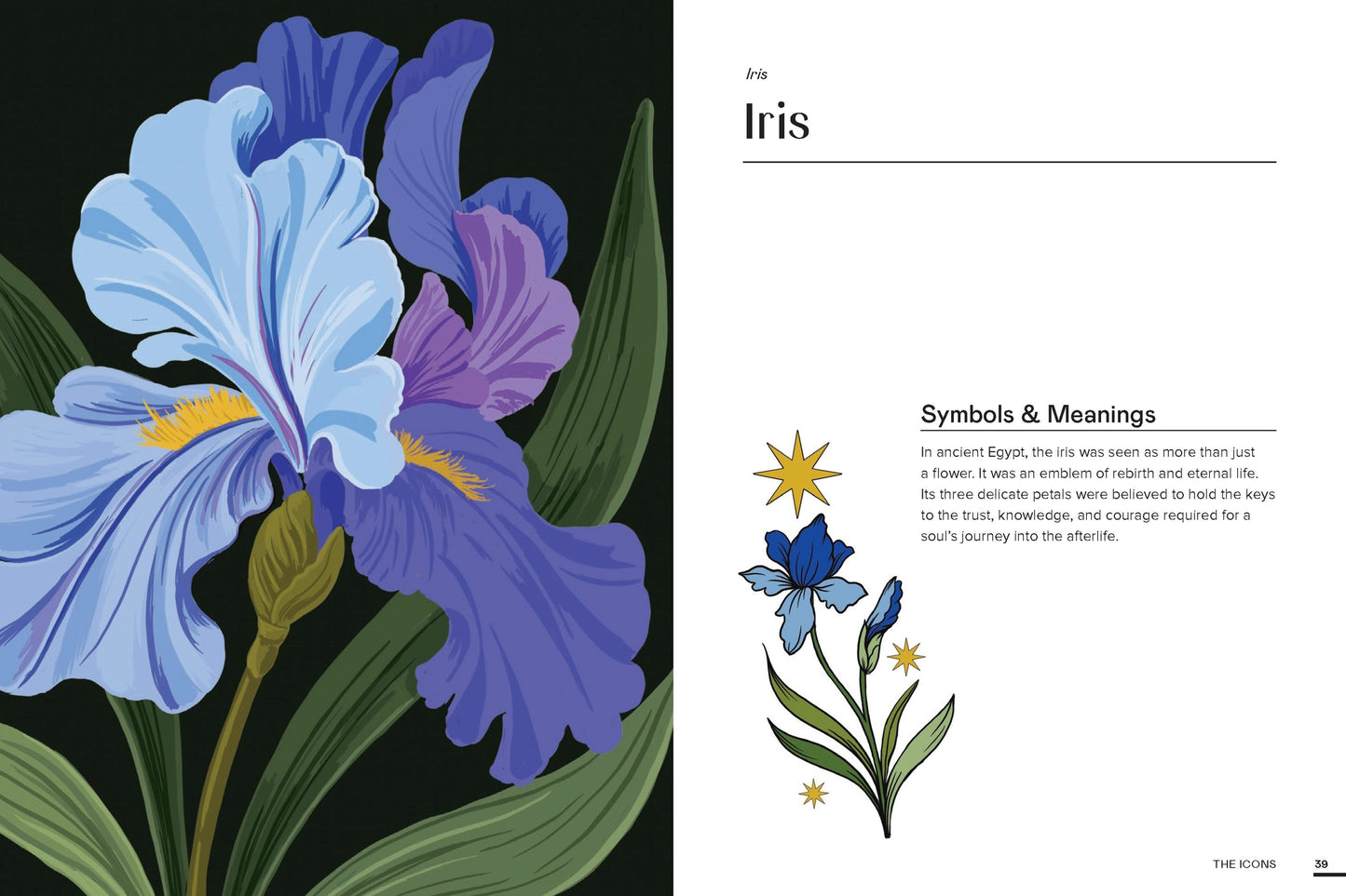Floraphile’s Amanac - An Illustrated Miscellany - THE BRISTOL ARTISAN