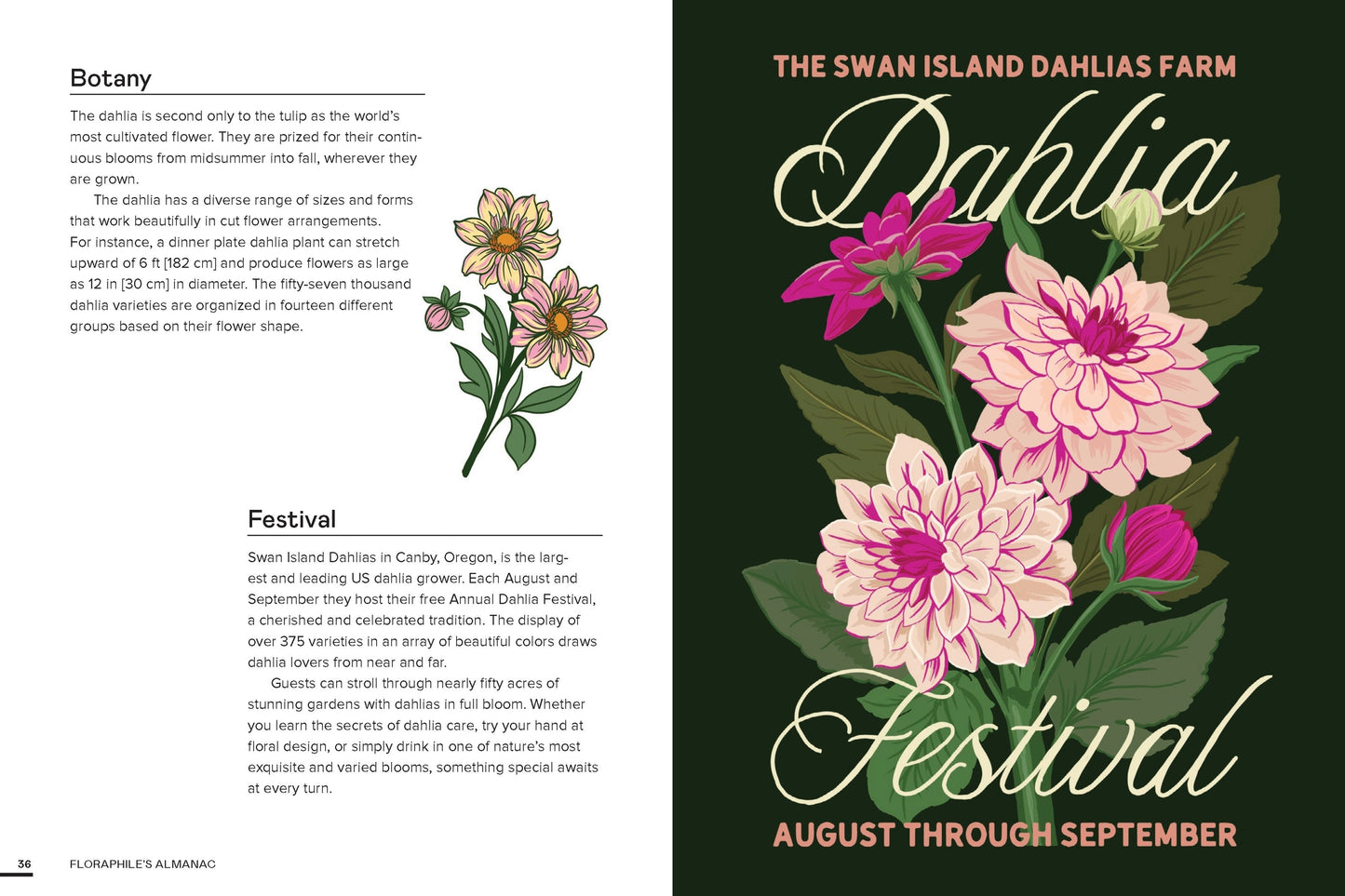 Floraphile’s Amanac - An Illustrated Miscellany - THE BRISTOL ARTISAN