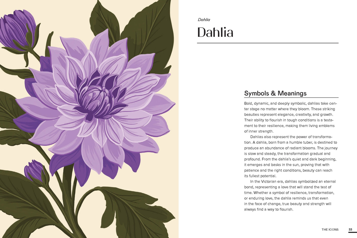 Floraphile’s Amanac - An Illustrated Miscellany - THE BRISTOL ARTISAN