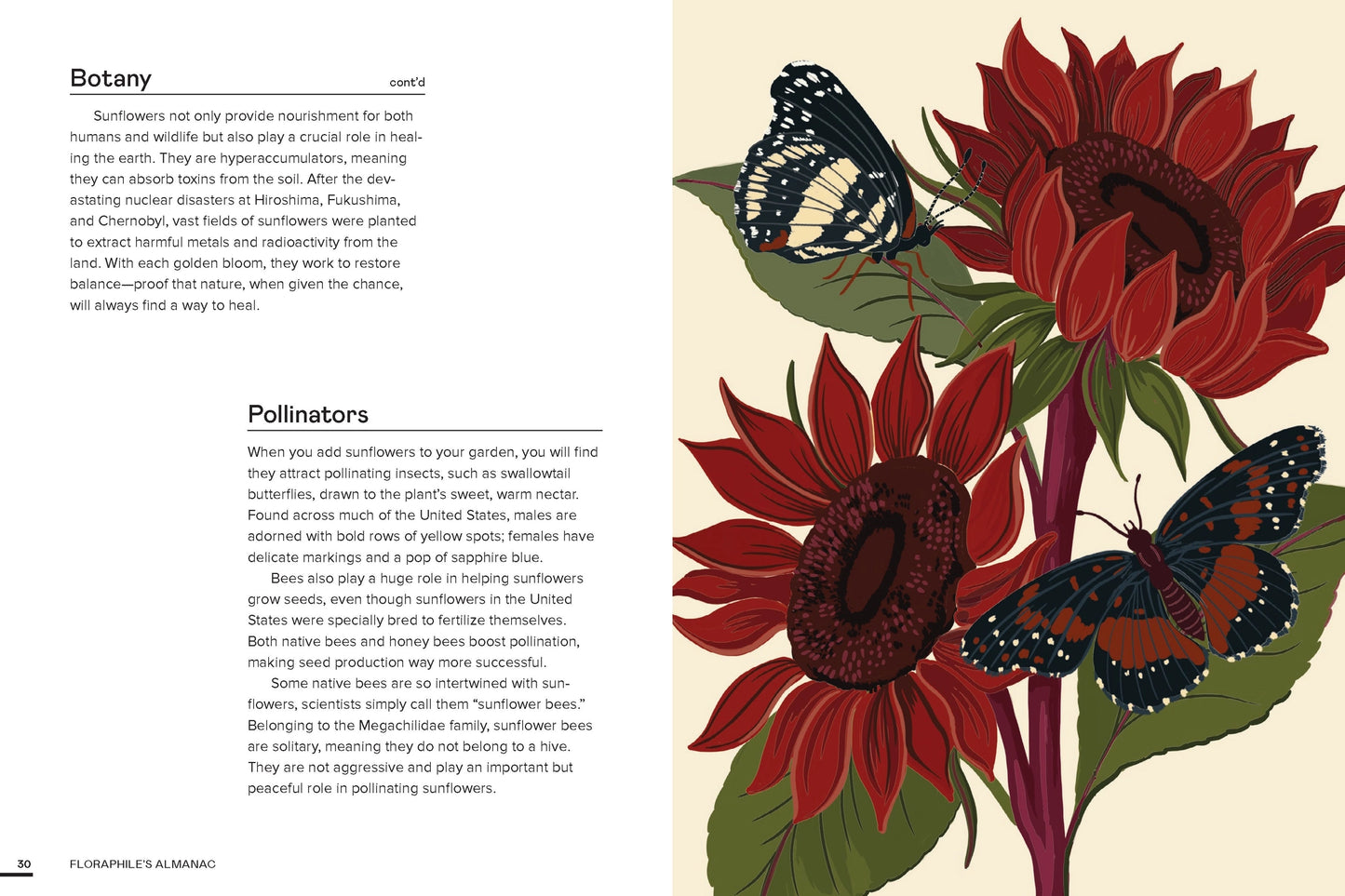 Floraphile’s Amanac - An Illustrated Miscellany - THE BRISTOL ARTISAN