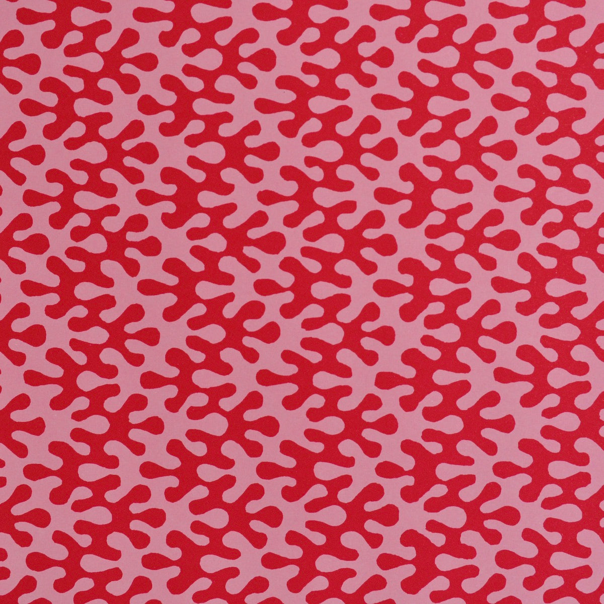Gift Wrap Kelp Raspberry Ripple - THE BRISTOL ARTISAN