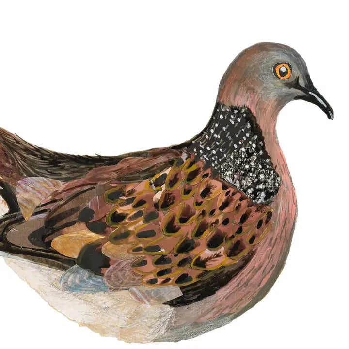 THE BRISTOL ARTISAN