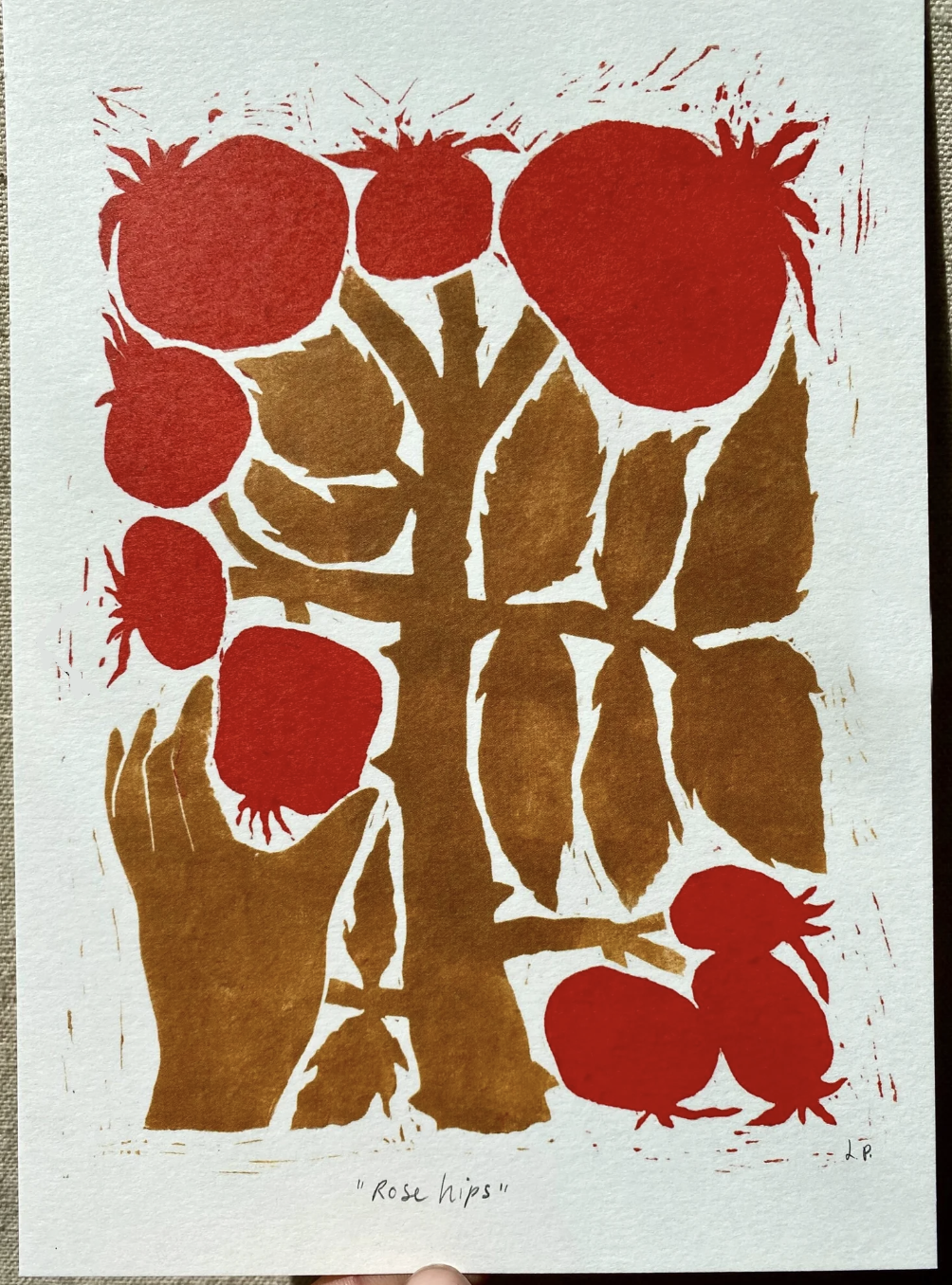 Rosehips A5 Print - THE BRISTOL ARTISAN
