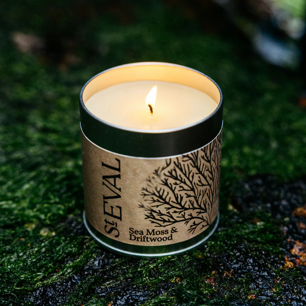 Sea Moss & Driftwood Candle Tin - THE BRISTOL ARTISAN