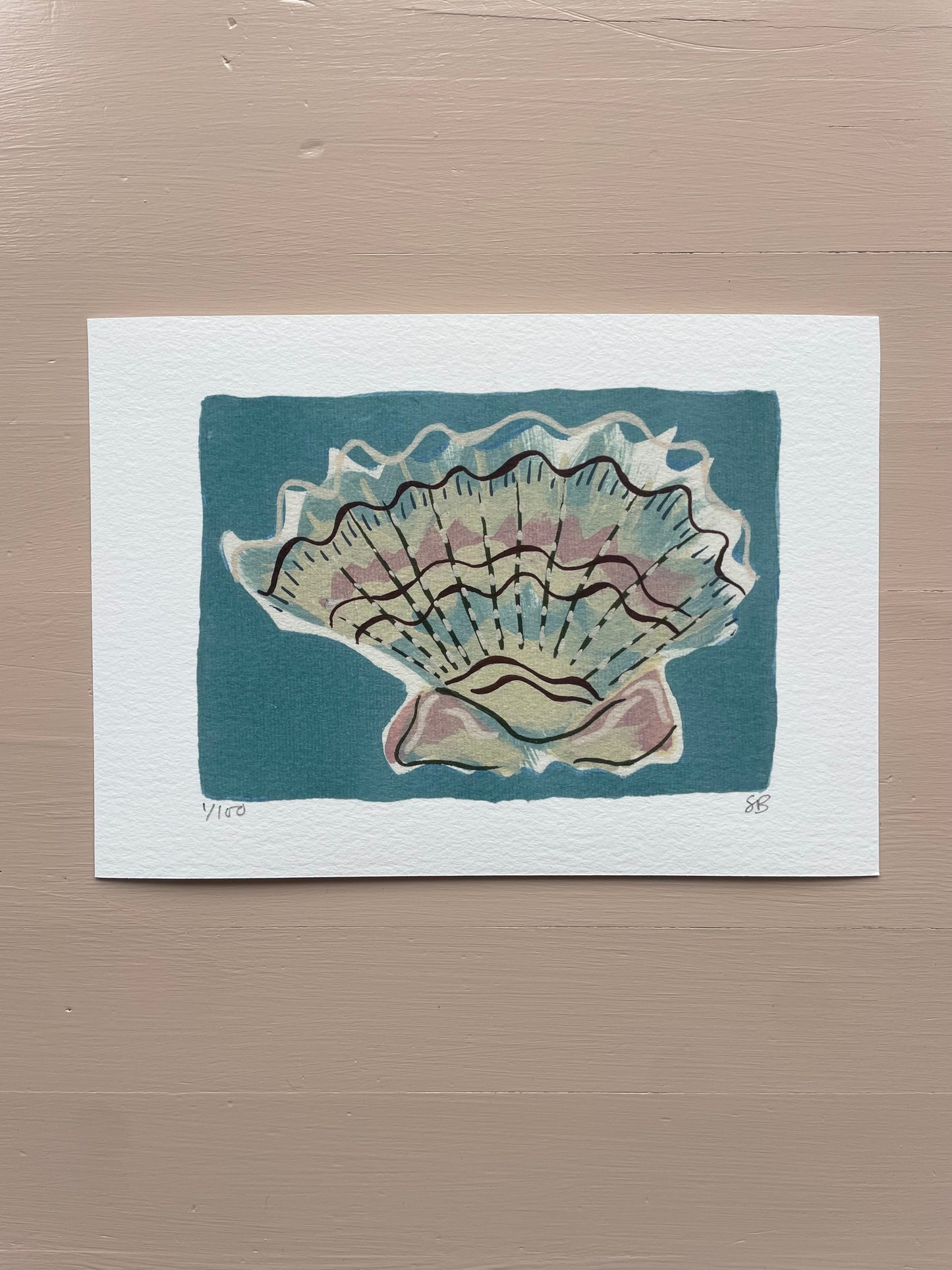 Shell No.62 limited edition print by Sian Beck - THE BRISTOL ARTISAN