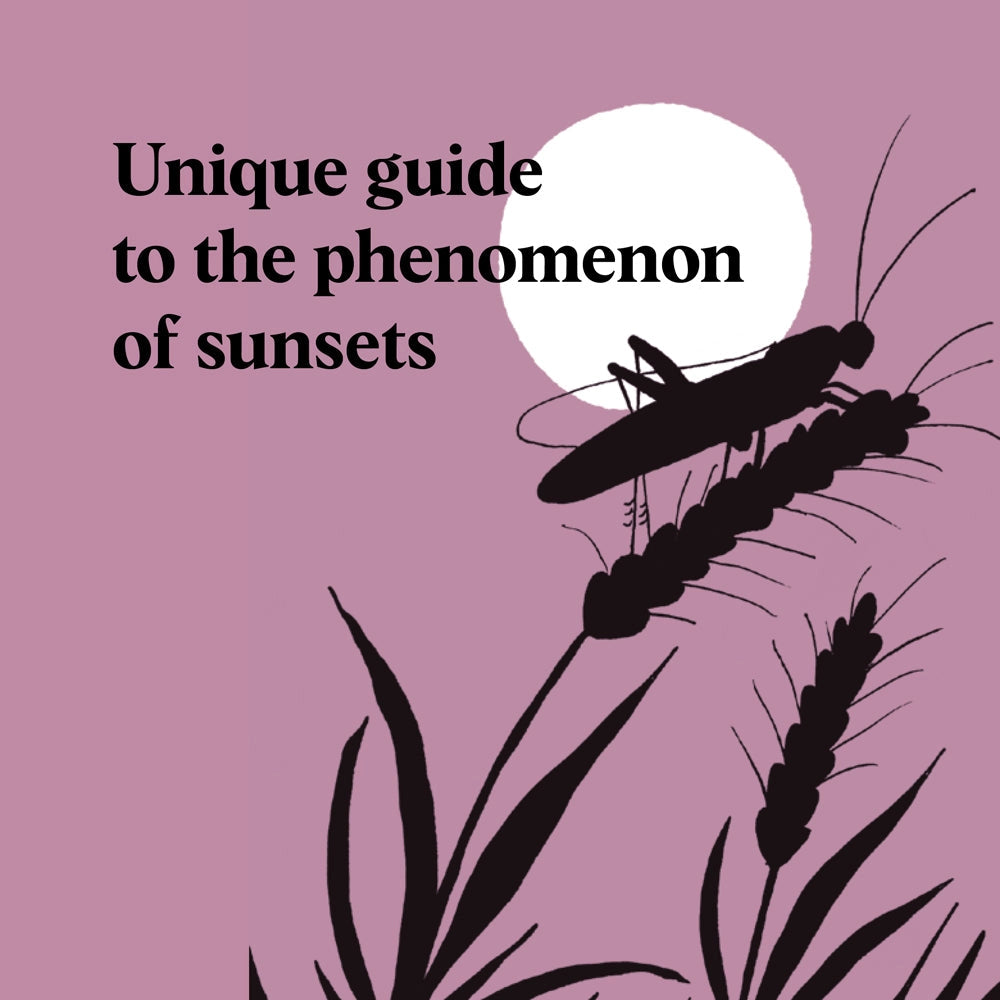 Sunset Seeking - Find Inspiration in the Beauty of the Sun's Cycle (Hardback) - THE BRISTOL ARTISAN