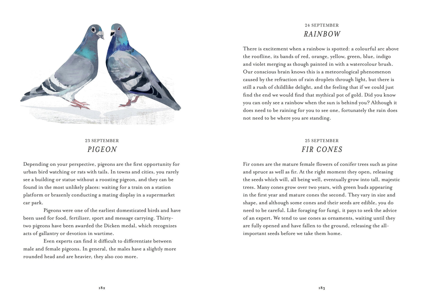 Urban Nature Everyday - Discover the Natural World on your Doorstep - THE BRISTOL ARTISAN