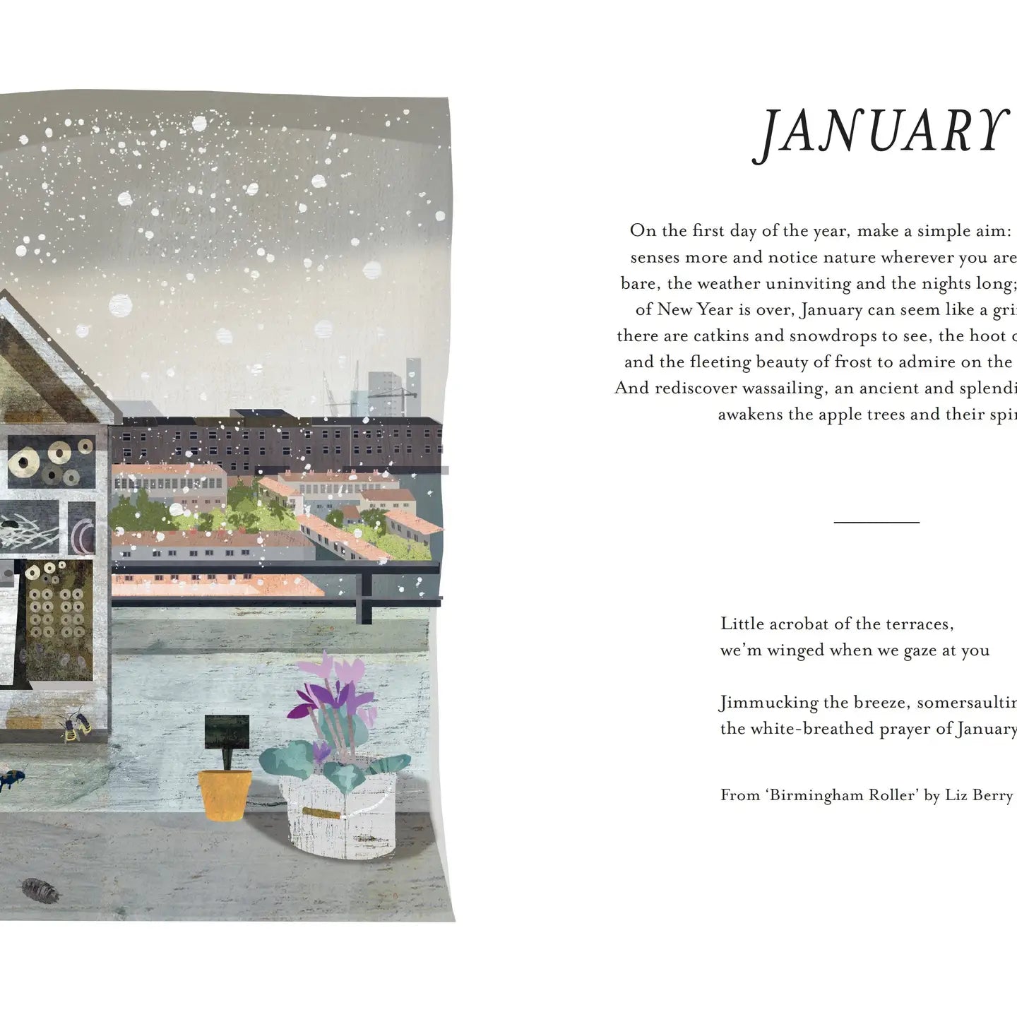 Urban Nature Everyday - Discover the Natural World on your Doorstep - THE BRISTOL ARTISAN