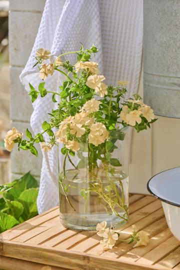Wide Glass Vase - Clear - THE BRISTOL ARTISAN