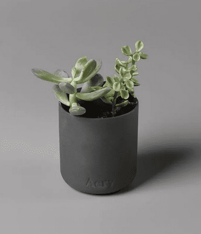 Indian Sandalwood Scented Plant Based Wax candle In A Reusable Clay Pot - THE BRISTOL ARTISAN